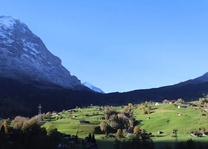 Excellent Flat With A Fantastic View Of The Eiger! شقة جريندلوالد